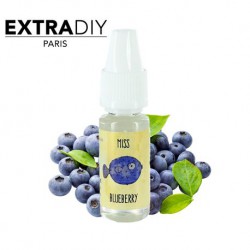 051 MISS BLUEBERRY by ExtraDIY